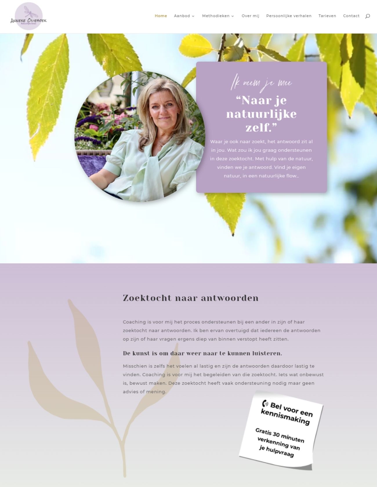 Impressie Anneke Oliehoek Paula Terpstra Webdesign Homepage