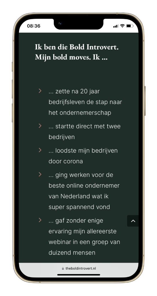 The Bold Introvert Paula Terpstra Mobiel 3 Webdesign project