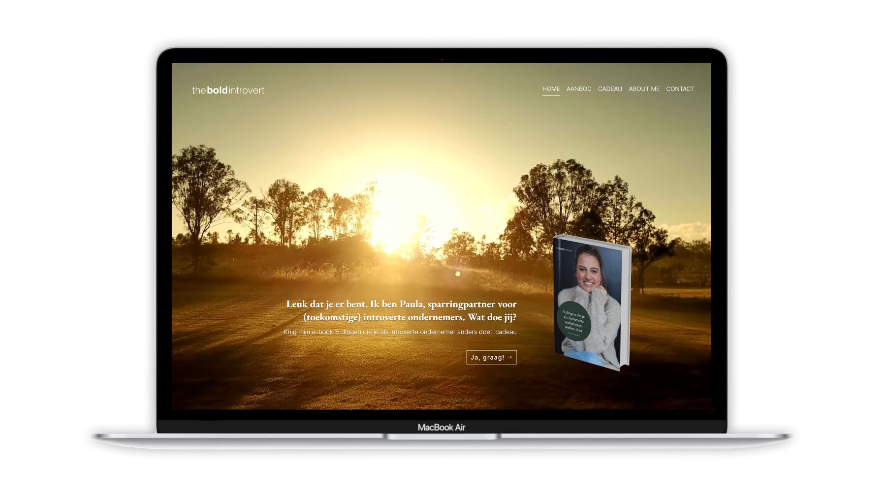 Website The Bold Introvert Paula Terpstra Webdesign 1800x1000