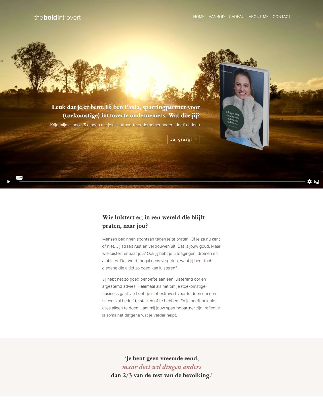 Impressie The Bold Introvert Paula Terpstra Webdesign Homepage