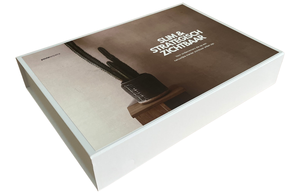 Marketing Box Slim & Strategisch Zichtbaar Paula Terpstra (2)